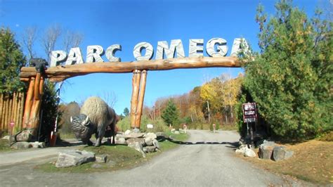 parc omega montebello qc canada